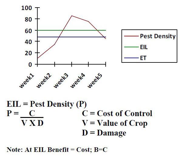 IPM Threshold Guide for Vegetable Crops University of Maryland Extension